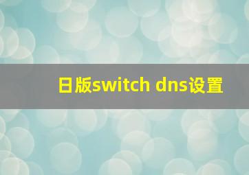 日版switch dns设置